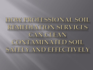 How Professional Soil Remediation Services Can Clean Contaminated Soil Safely an