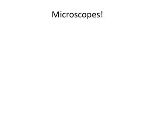 Magnification of microscope