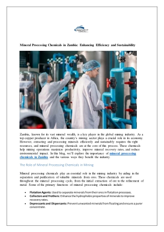 Mineral Processing Chemicals in Zambia: Enhancing Efficiency and Sustainability