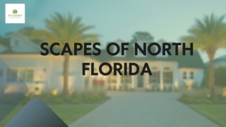 _SCAPES OF NORTH FLORIDA