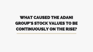 What Caused the Adani Group’s Stock Values to Be Continuously On the Rise