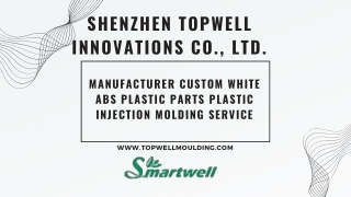 Manufacturer Custom White ABS Plastic Parts Plastic Injection Molding Service