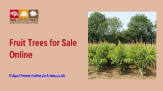 Fruit Trees for Sale Online - www.mailordertrees.co.uk