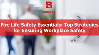 Fire Life Safety Essentials: Top Strategies for Ensuring Workplace Safety