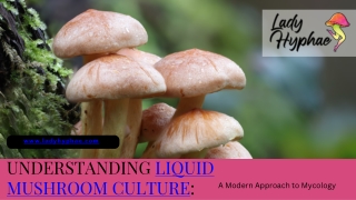 Unlock the Power of Liquid Mushroom Culture at Lady Hyphae