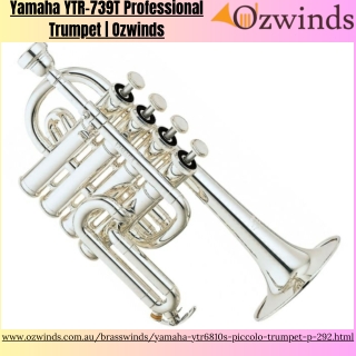 Yamaha YTR-6810S Piccolo Trumpet