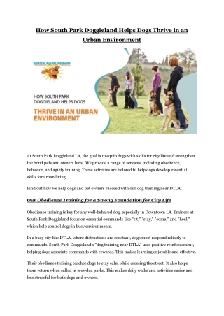 Dog Training Near DTLA: South Park Doggieland