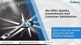 Start small pre-market and grow big with PubHive Navigator