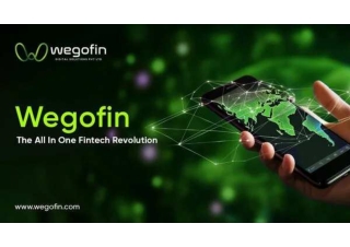 How WeGoFin’s Mobile Payment Gateway is Transforming Transactions