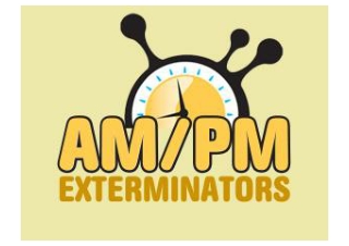 Top Seattle Exterminators: Trusted Pest Control Services for Homes and Businesse