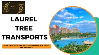 Laurel Tree Transportation service 