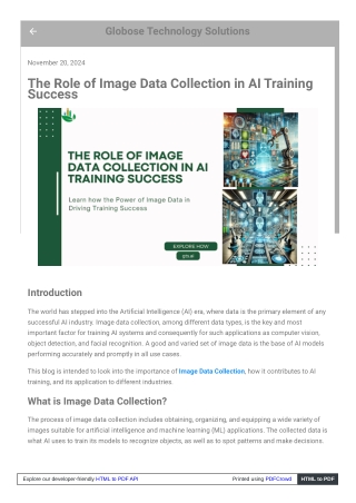 The Role of Image Data Collection in AI Training Success