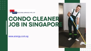 Condo Cleaner Job in Singapore - www.anergy.com.sg