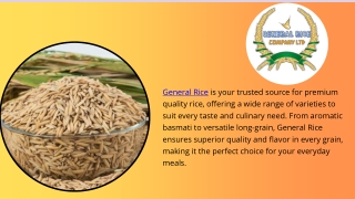 Fresh White Corn for Sale