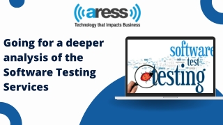 Going for a deeper analysis of the Software Testing Services