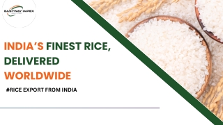 Trusted Rice Export From in India | Easyway Impex