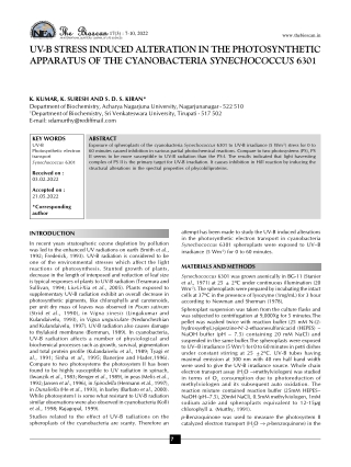 download - 2024-07-16T115005.542 (1) (1)