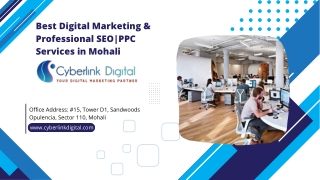 Best Digital Marketing & Professional SEO |PPC Services in Mohali