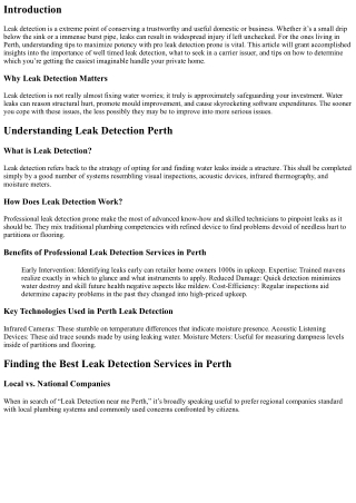 Maximizing Efficiency with Professional Leak Detection Services in Perth