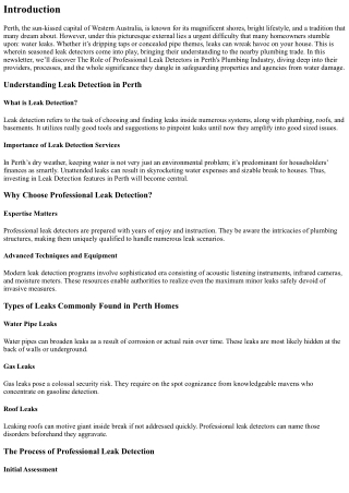 The Role of Professional Leak Detectors in Perth's Plumbing Industry