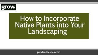 Transform Your Landscape with Native Plants