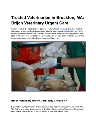 Trusted Veterinarian in Brockton, MA_ Brijon Veterinary Urgent Care