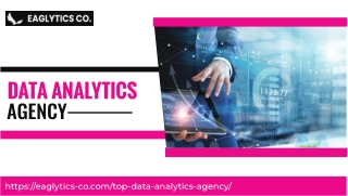 Expert Data Analytics Agency for Business Success