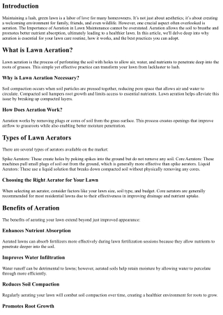 The Importance of Aeration in Lawn Maintenance