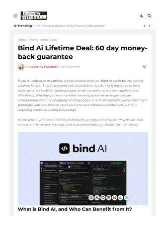 bind ai review