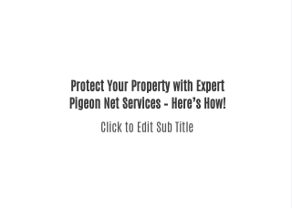 Protect Your Property with Expert Pigeon Net Services – Here’s How!