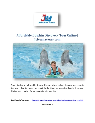 Affordable Dolphin Discovery Tour Online