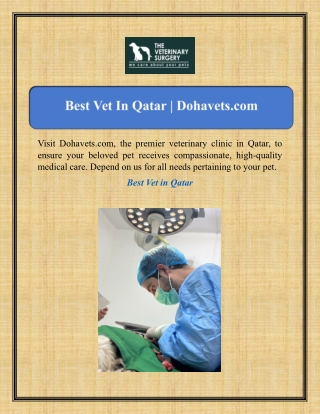 Best Vet In Qatar | Dohavets.com