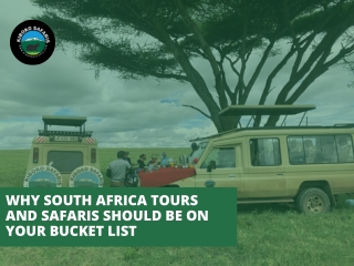 Why South Africa Tours and Safaris Should Be on Your Bucket List