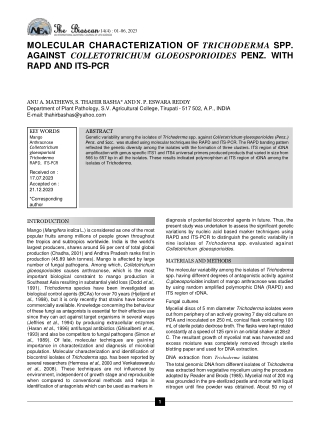 download - 2024-07-18T181023.505 (2)