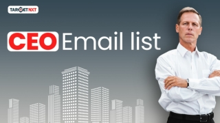 Generate leads and enhance your ROI with TargetNXT’s CEO Email List