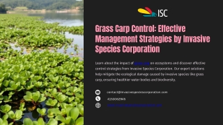 Grass Carp Control Effective Management Strategies by Invasive Species Corporation