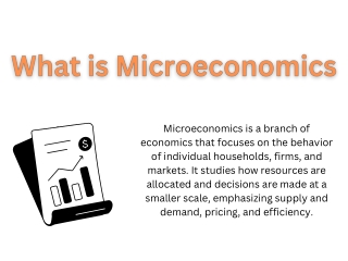 What is Microeconomics