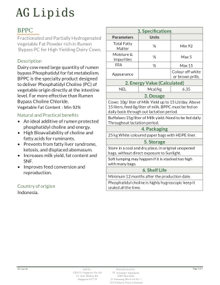 What is Lecithin Powder - Giiava.com