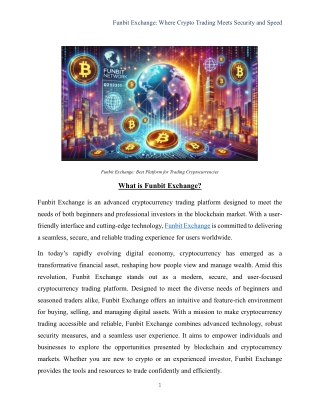 Funbit Exchange File