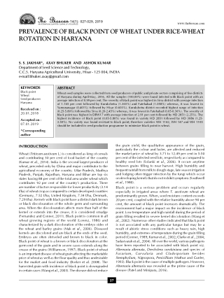 download - 2024-11-25T165936.956