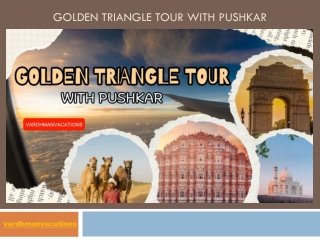 golden triangle tour with puskar