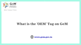 What is the 'OEM' tag on Government e-Marketplace