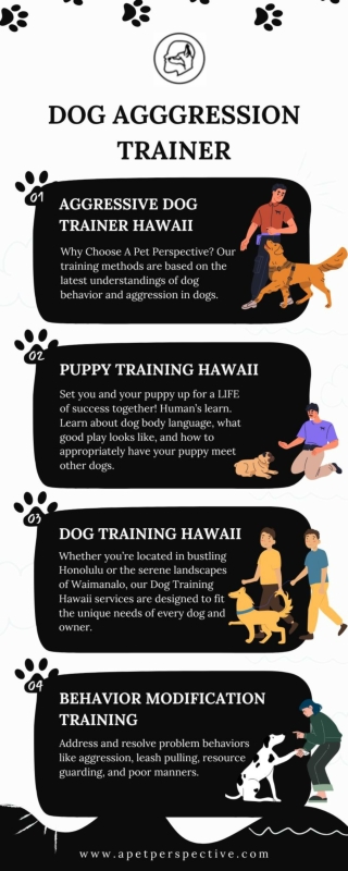 Dog Aggression Training by A Pet Perspective