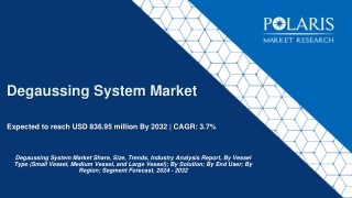 Degaussing System Market