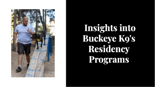 Premium Doggy Daycare and Boarding at Buckeye K9