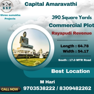 Capital Amaravathi_Pooling Plot Rayapudi Revenue