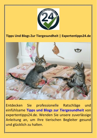 Tipps Und Blogs Zur Tiergesundheit  Expertentipps24.de