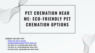 PET CREMATION NEAR ME: ECO-FRIENDLY PET CREMATION OPTIONS