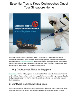 Essential Tips to Keep Cockroaches Out of Your Singapore Home