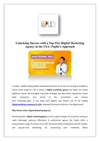 Best Website Design Company In USA | Peplio